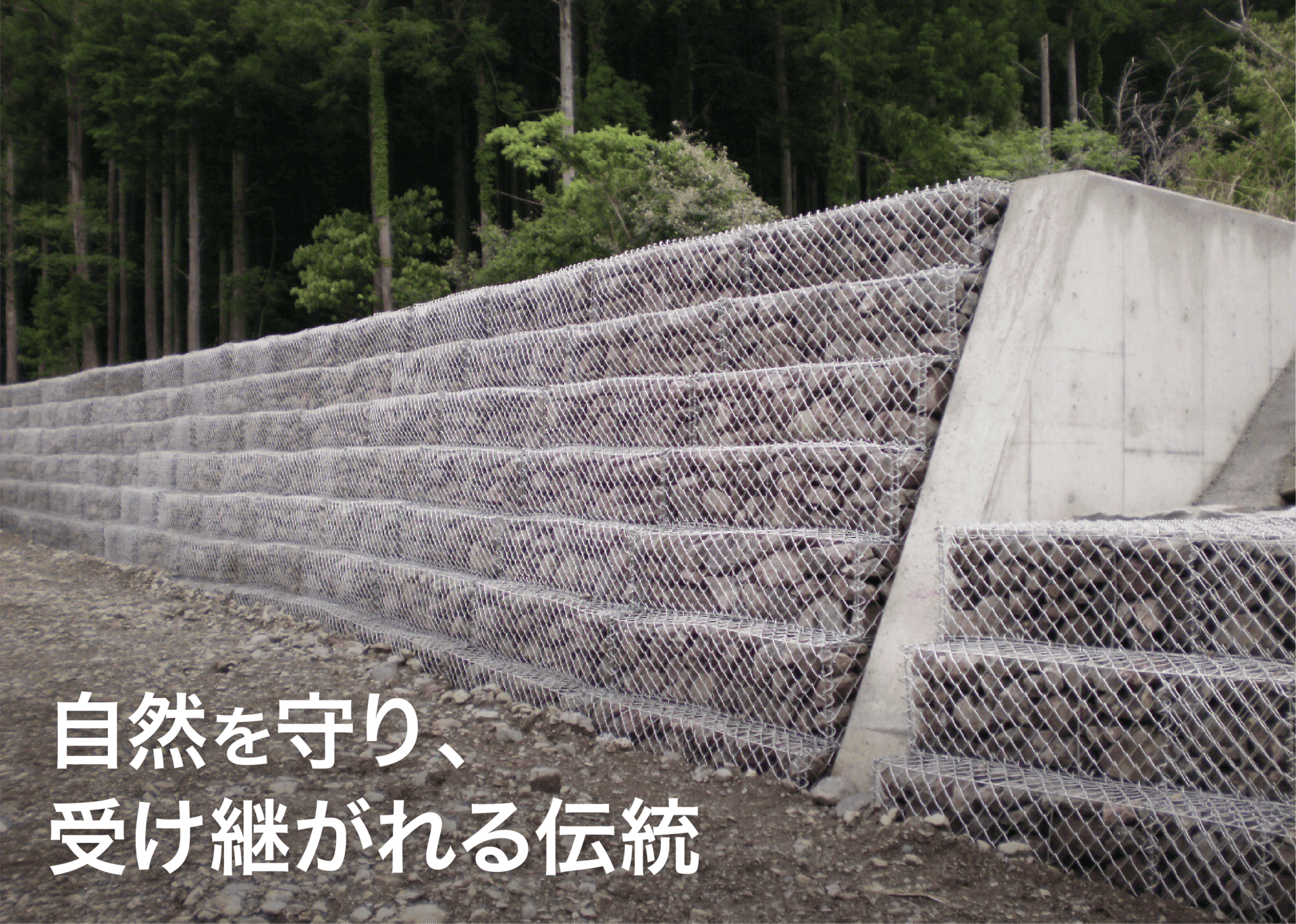 自然を守り、受け継がれる伝統