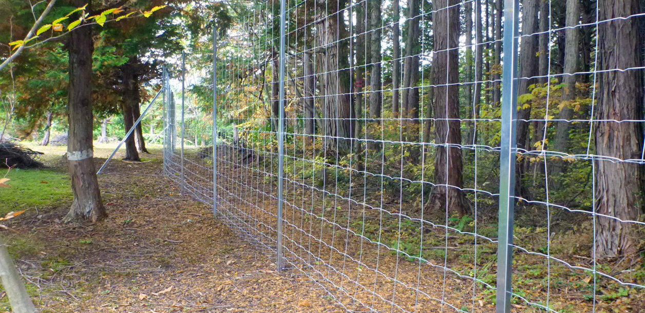 施工実績写真：獣害対策　岐阜県 白鳥林木育種事業地